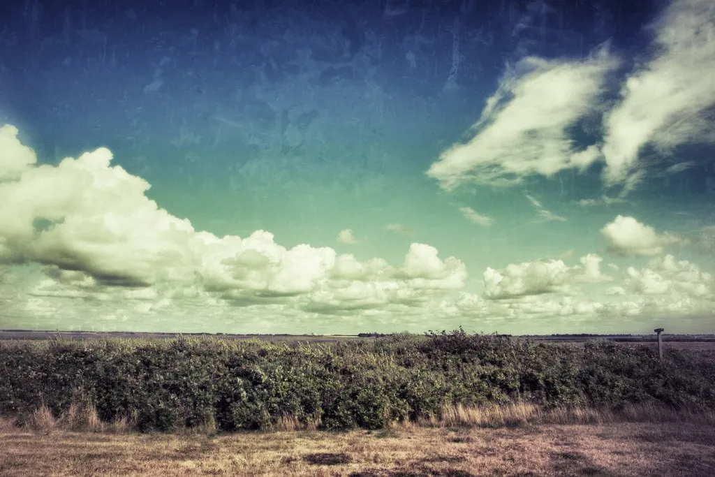 wpid2839-DSC_3901-Bearbeitet