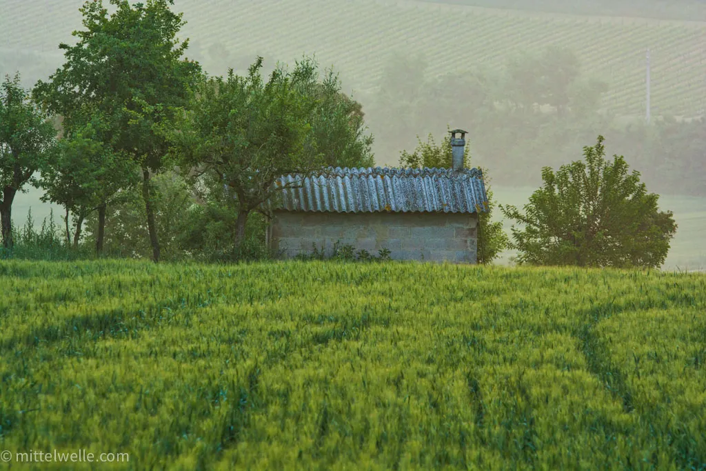 Feld in der Toskana mit Haus