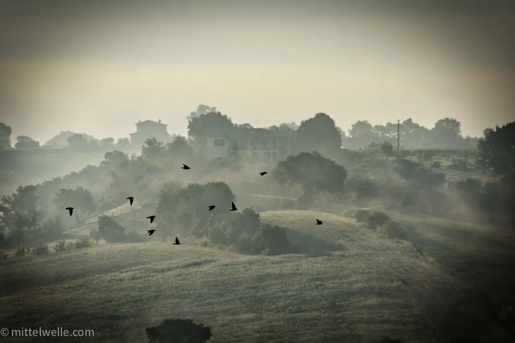 Vögel in der Toskana