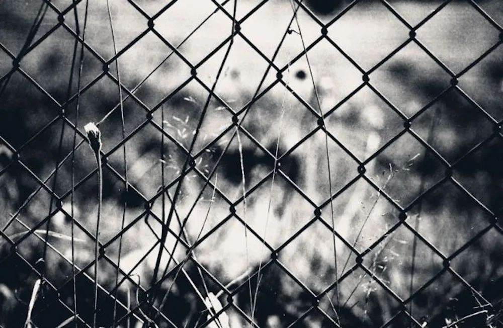 wpid193-20070325180840_image015