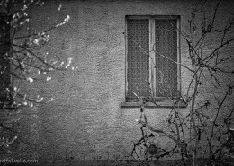 Altes Fenster