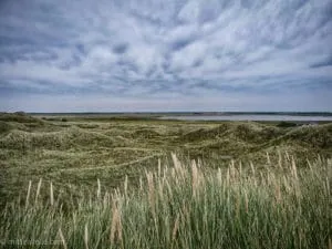 Landschaft in Dänemark